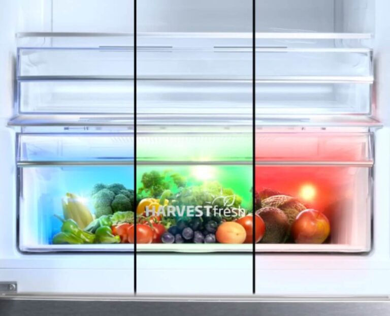 How You Can Preserve Your Refrigerator Food For Much Longer