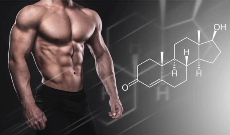 Is SARMS a Steroid?