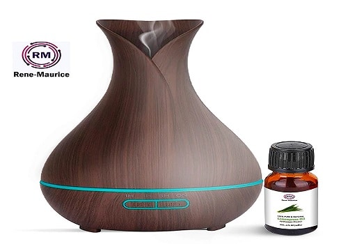 Which Diffuser Is Best For Your Home?