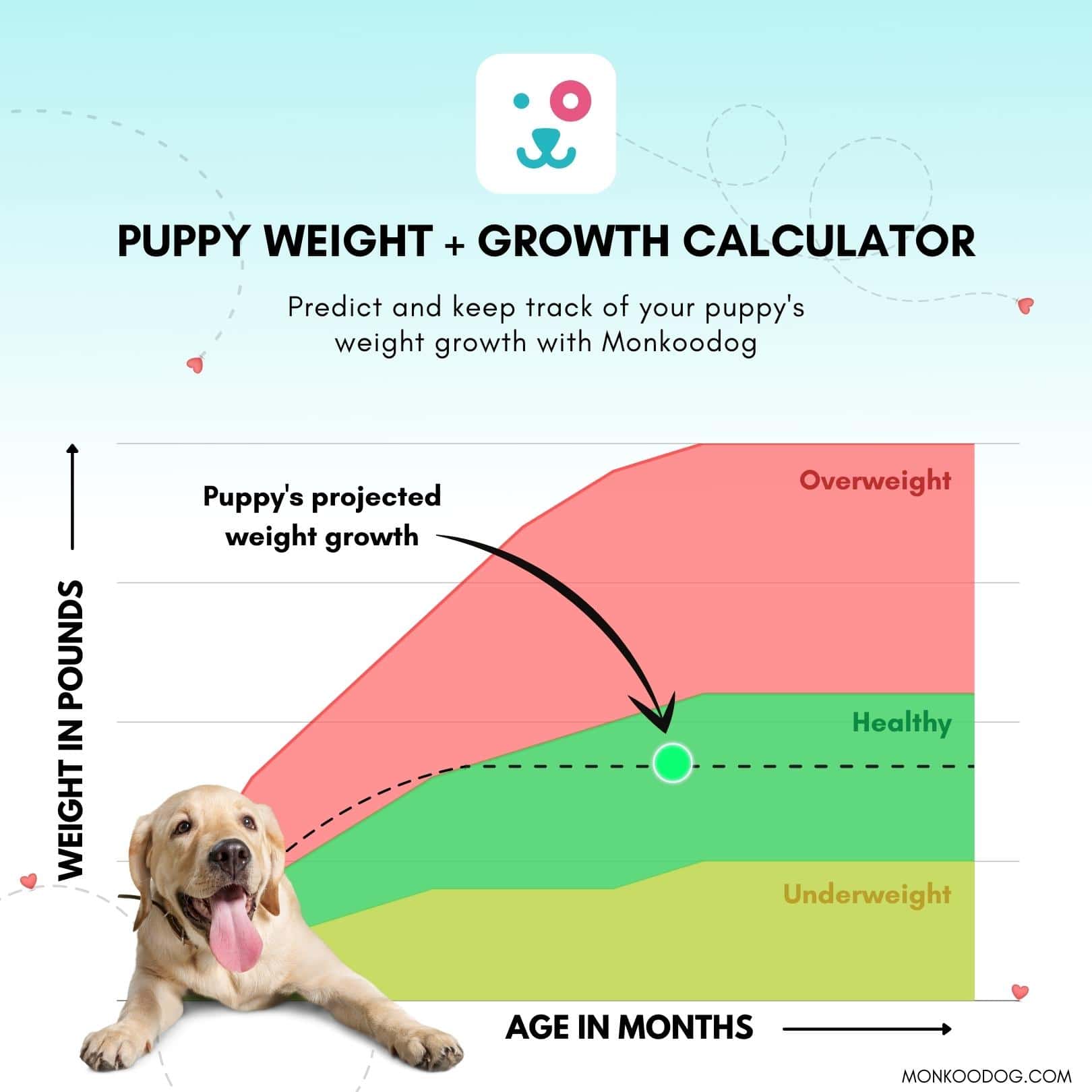 How to Calculate the Weight of Your Puppy - TheOmniBuzz