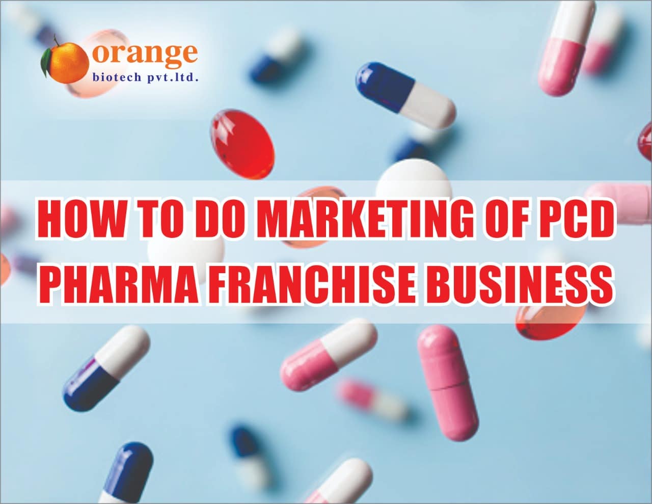 How to do marketing of PCD pharma franchise business ( Orange Biotech )