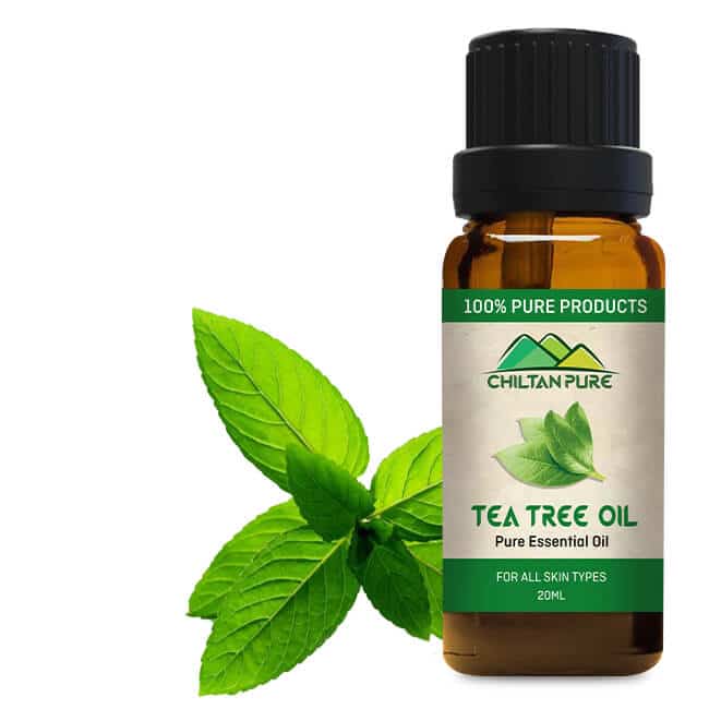 The Many Tea Tree Oil Uses