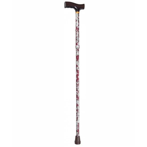 4 Types of Walking Sticks