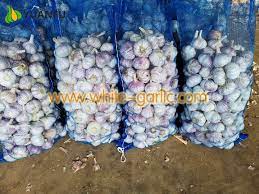 What to Look Up To Find the Best Garlic Exporter!