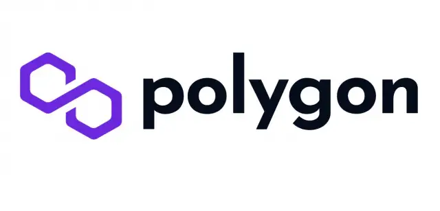 What is Polygon?