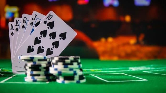 What to Look for in a Casino Site