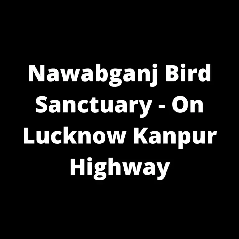 Nawabganj Bird Sanctuary