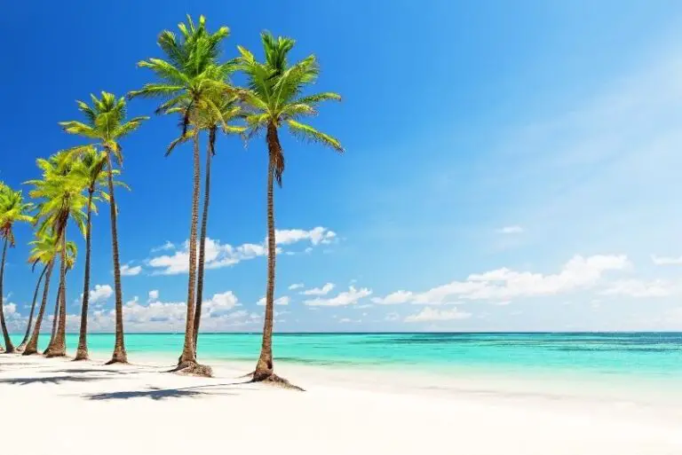 The Best Things to Do in Punta Cana