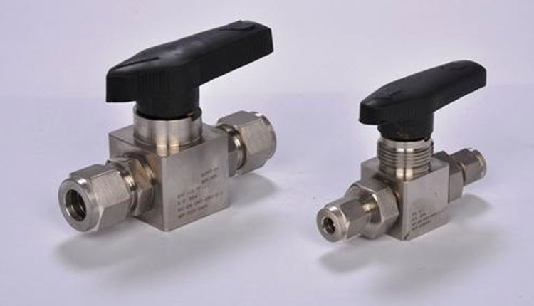 What are the Duplex Instrumentation Valves?