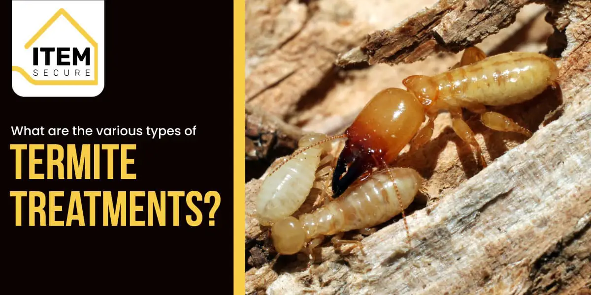 What Are The Various Types Of Termite Treatments? - TheOmniBuzz