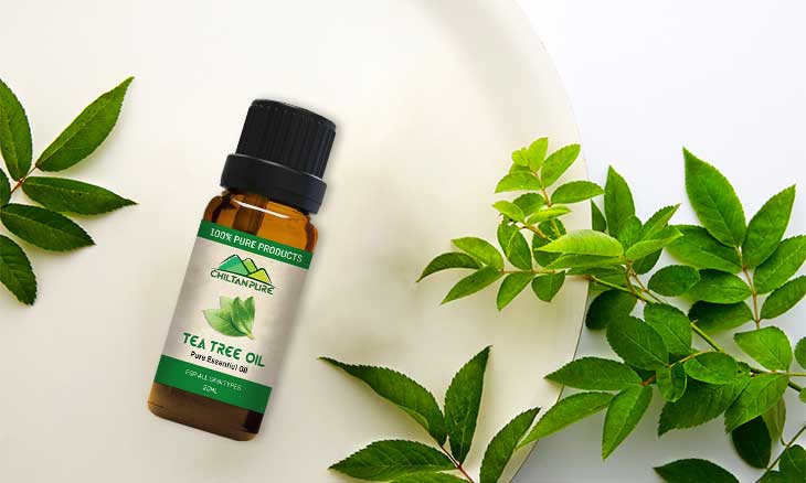 Why Use Tea Tree Oil For Acne