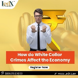 How do White Collar crimes affect the economy?