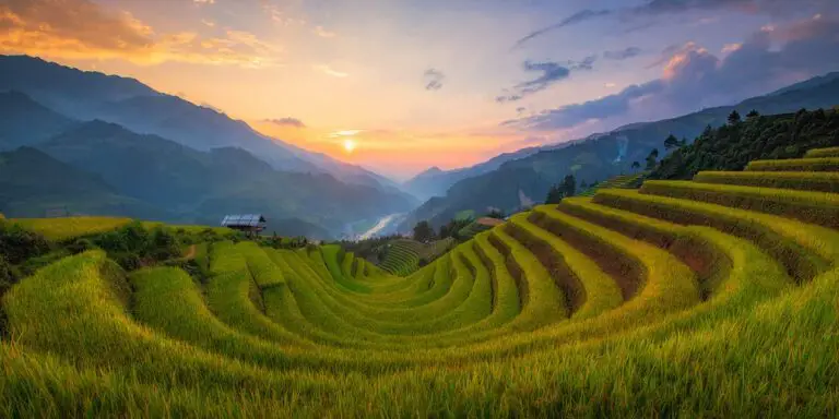 What Are The Most Worth-visiting Vietnam Rice Fields In 2022?