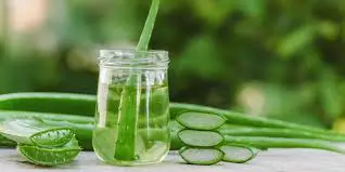 Aloe Vera Extract Market Size, Share, Growth, Trends and Forecast 2018 – 2027