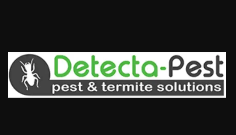 Pest Control for your Home: Quick and Effective Solutions