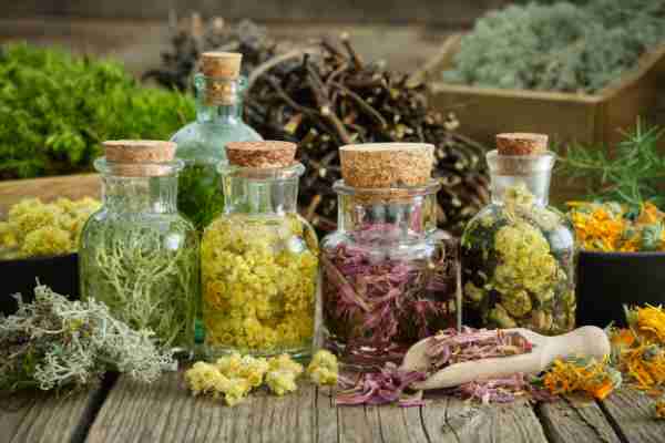 Meaning Of Naturopathy And Its Importance