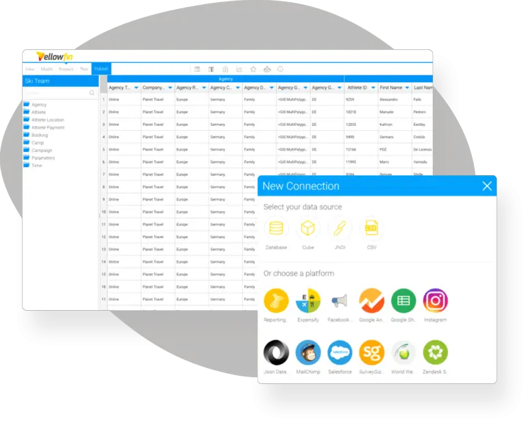 What is Embedded Analytics?