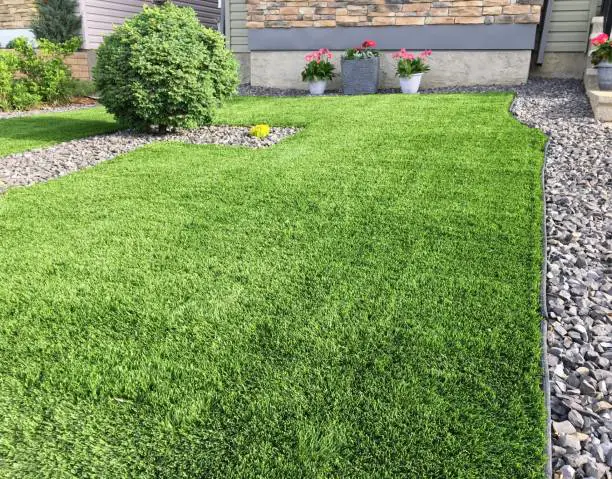 What Kinds of Grass Seeds Are Available for Your Lawn