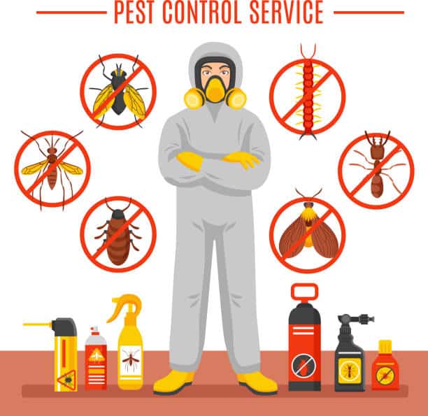 Benefits of Regular Termite Control in McKinney, Texas