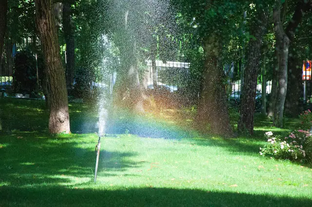 Save Money with Professional Irrigation Installation