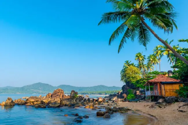 Top 8 Reasons for Visiting Goa in Monsoon