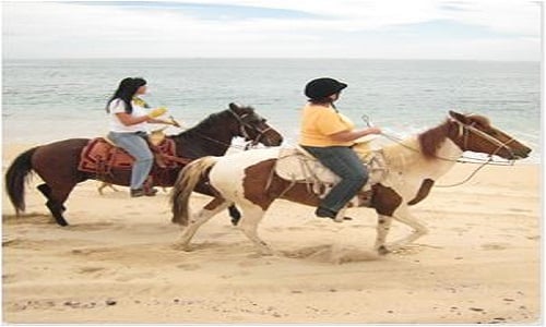 Horseback riding1-d9aa4073