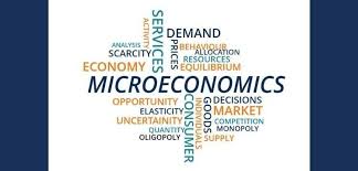 Microeconomics Assignment Help Services-3ed13967