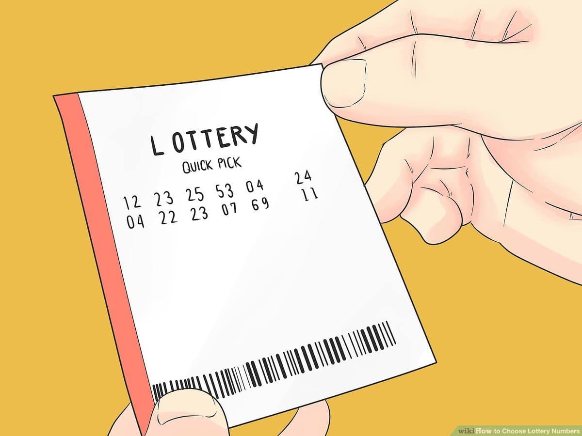 Nagaland State Lottery-810296f0