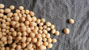 Soy Based Chemicals Market-09c02ba9