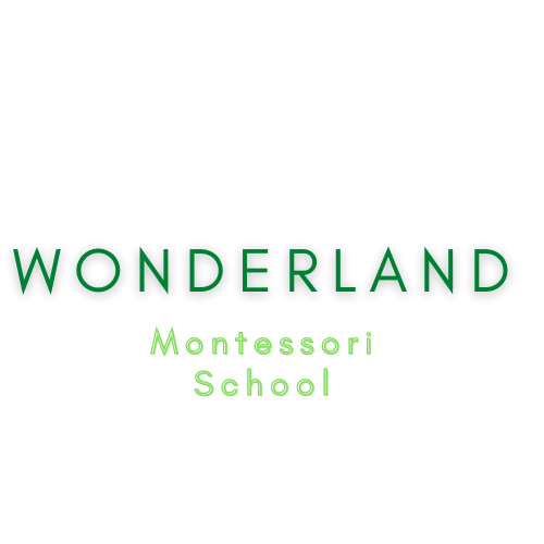 Montessori School in Carrollton For Your Child’s Best Future