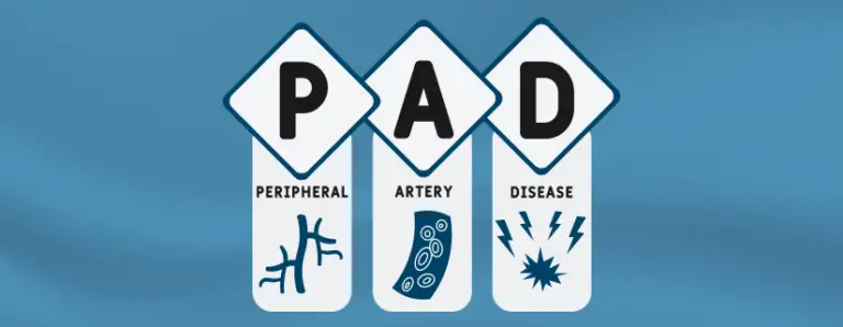 Everything You Should Know About Peripheral Vascular Disease (PVD)