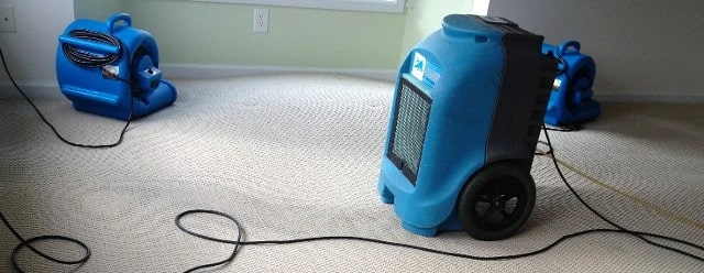 What Should You Know About The Carpet Flood Restoration?