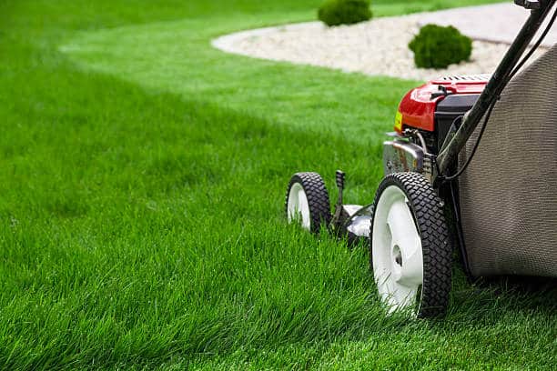 Tips For Watering Your Lawn When Fertilizing