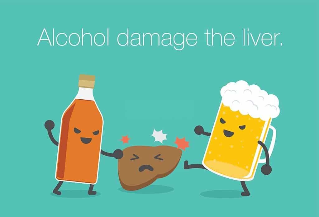 alcohol damage liver - avenir nutrition-0cf66183
