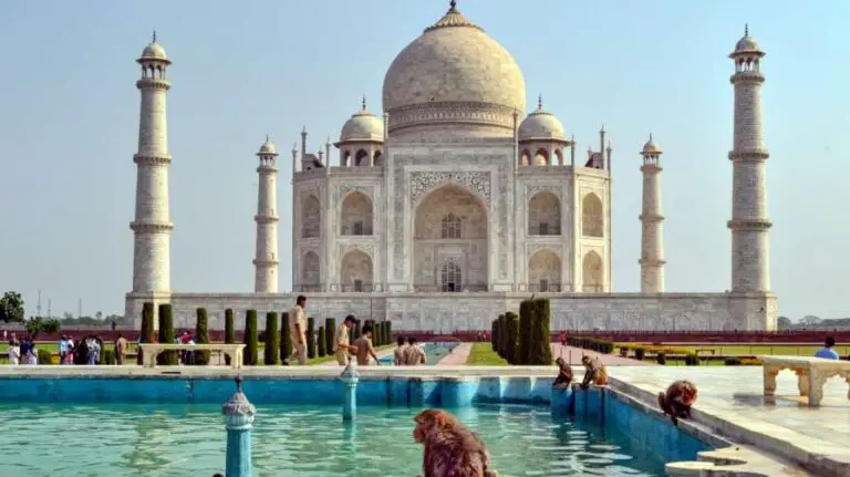 5 Reasons Why You Should Take A Same Day Taj Mahal Tour