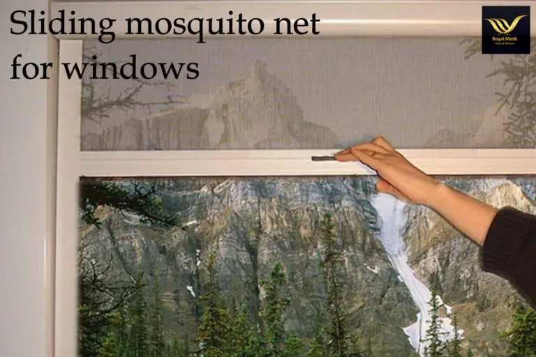 Here’s Why Restaurant and Cafe Owners Need mosquito net door