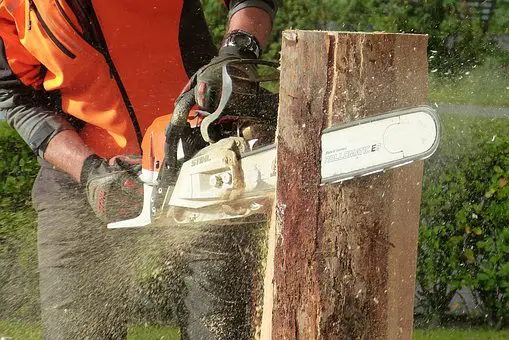 Listing The Top Attributes of The Best Tree Cutting Services Turramurra