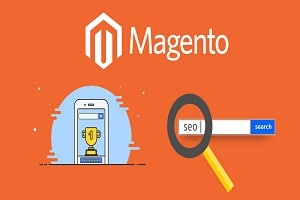 Why You Need Professional Magento SEO Services