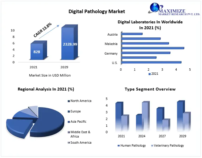 Digital Pathology Market Size, Share, Demand & Trends Analysis Report by 2029