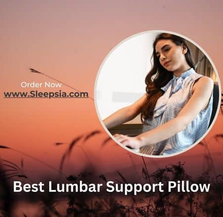 Lumbar Support Pillow for Lower Back Pain While Sitting