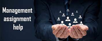 Features of IT Management Assignment help