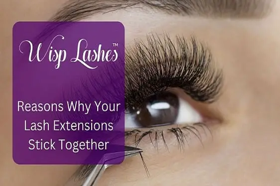 Reasons Why Your Lash Extensions Stick Together