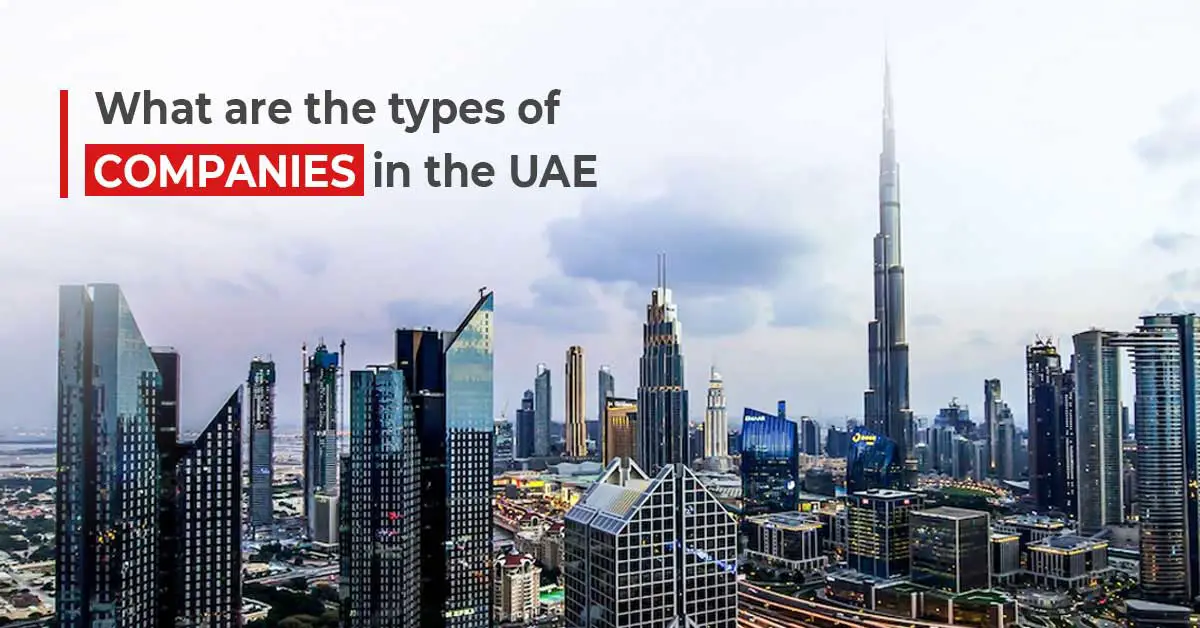 What-are-the-types-of-companies-in-the-UAE-7cf9c0bb