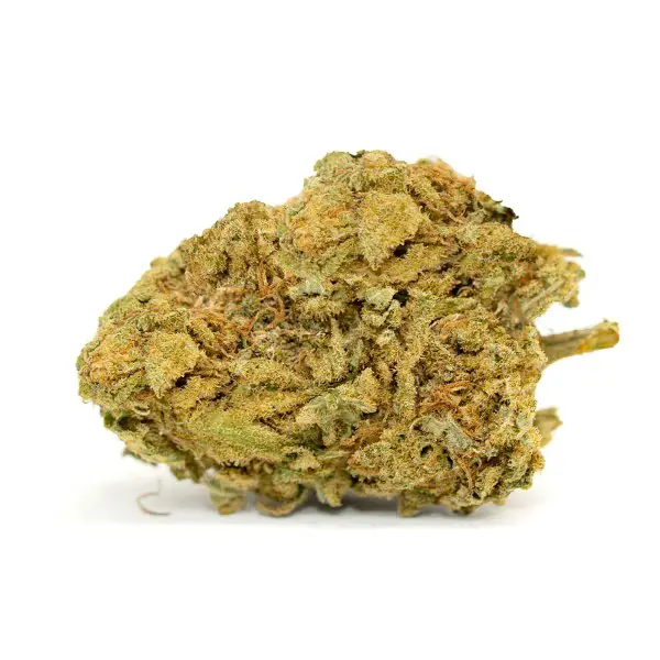 Afghan Kush Strain: Is Afghan Kush An Indica Or Sativa?