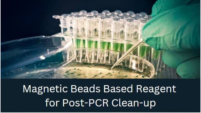 Looking for a Magnetic Beads based reagent for post-PCR clean-up?