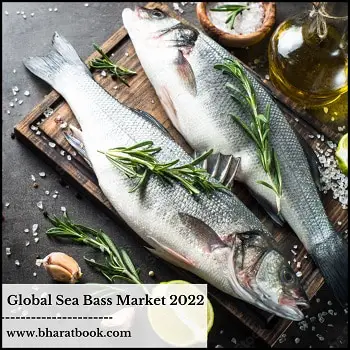 Global Sea Bass Market, Forecast & Opportunities, 2022-2028