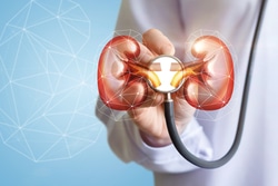 What is The Kidney Function Test and What are its Uses?