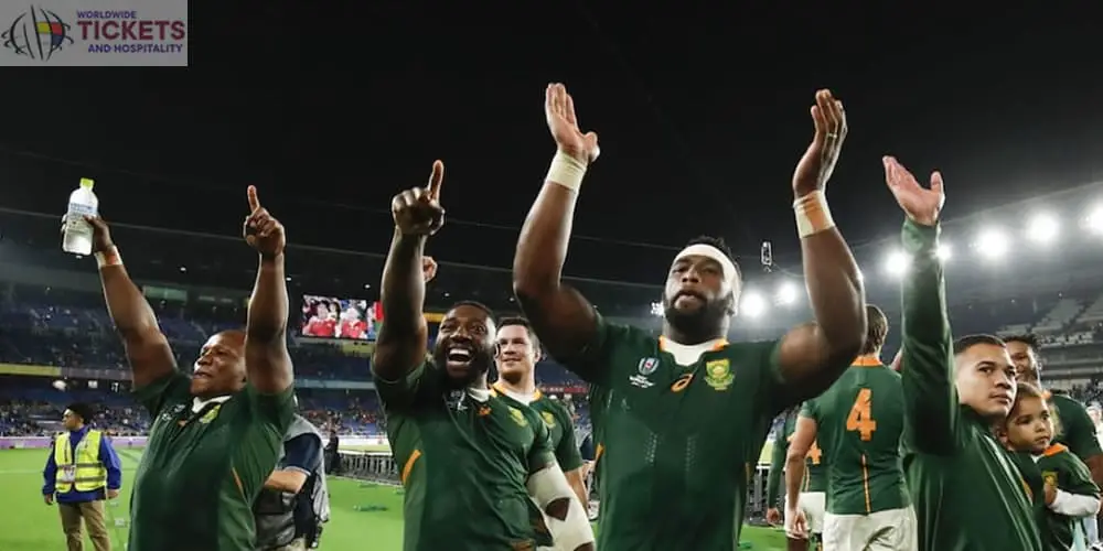 Springboks Display Protection RWC Successes Games-2d2560d3