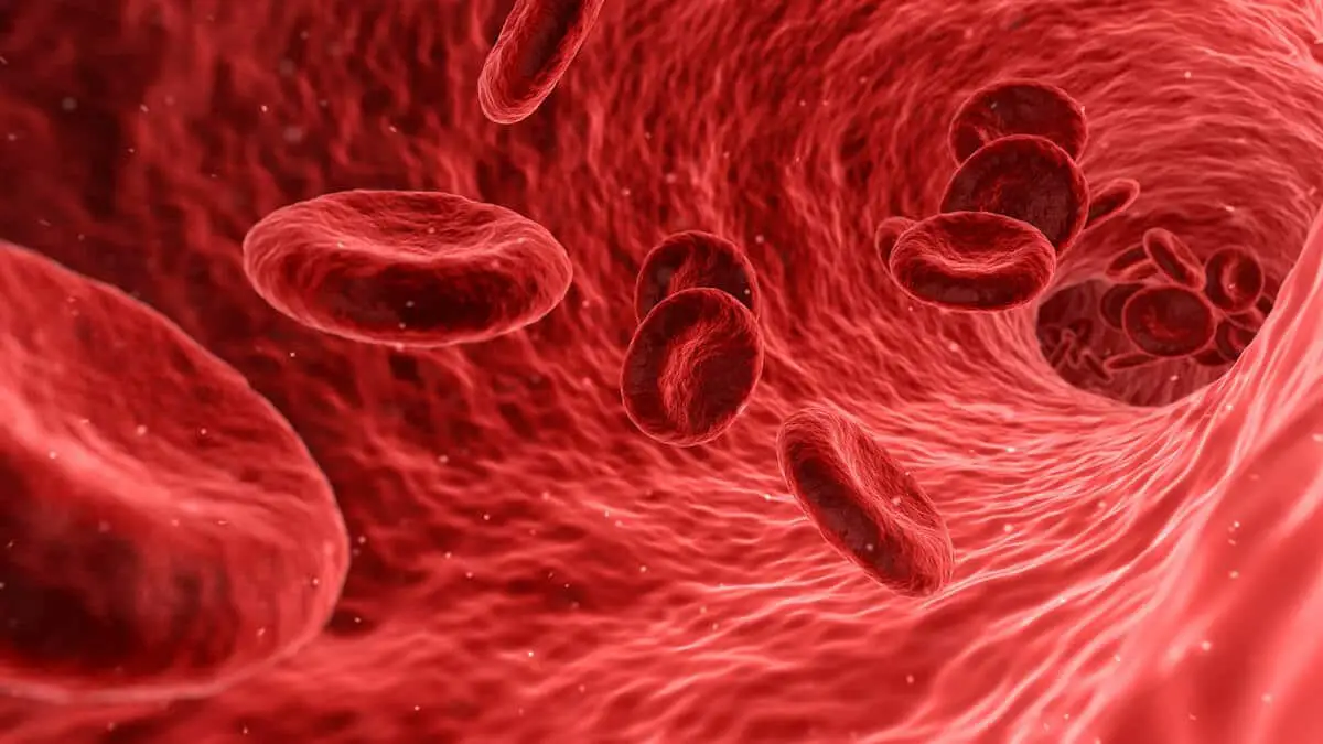 drug-metabolism-0f7ff2bb