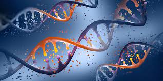 Gene Amplification Technologies Market growth projection to 9.75% CAGR through 2030